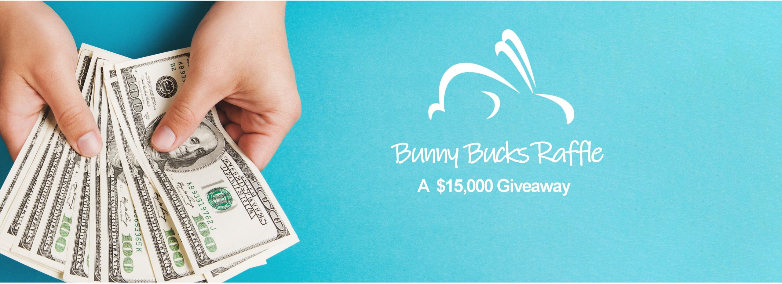 Bunny Bucks 22